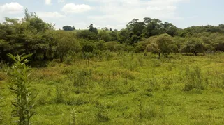 Fazenda / Sítio / Chácara à venda, 72600m² no Rural, Torre de Pedra - Foto 15