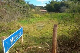 Fazenda / Sítio / Chácara à venda, 2000m² no Floresta, Belo Horizonte - Foto 4