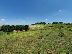 Terreno / Lote / Condomínio à venda, 174000m² no Macuco, Valinhos - Foto 19