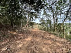 Fazenda / Sítio / Chácara com 4 Quartos à venda, 571725m² no Providencia, Teresópolis - Foto 5
