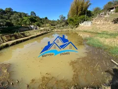 Fazenda / Sítio / Chácara com 3 Quartos à venda, 3000m² no Aluminio, Alumínio - Foto 3