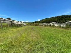 Terreno / Lote / Condomínio à venda, 8000m² no Centro, Paraisópolis - Foto 5