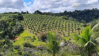 Fazenda / Sítio / Chácara com 4 Quartos à venda, 900000m² no Centro, Valença - Foto 8