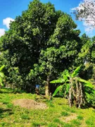 Terreno / Lote / Condomínio à venda, 1000m² no Centro, Biritiba Mirim - Foto 2