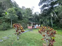 Fazenda / Sítio / Chácara com 3 Quartos à venda, 120m² no Zona Rural, Marechal Floriano - Foto 15