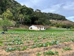 Fazenda / Sítio / Chácara com 4 Quartos à venda, 571725m² no Providencia, Teresópolis - Foto 19