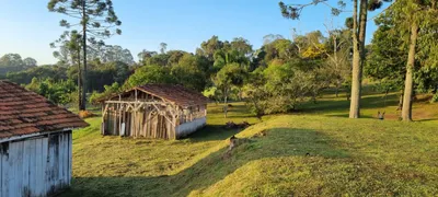 Fazenda / Sítio / Chácara com 3 Quartos à venda, 10000m² no Rancho Alegre, Campina Grande do Sul - Foto 7