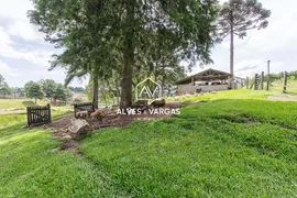 Fazenda / Sítio / Chácara com 4 Quartos à venda, 300m² no Jardim da Colina, Campina Grande do Sul - Foto 8