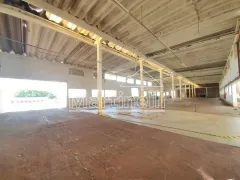 Galpão / Depósito / Armazém para alugar, 12775m² no Parque Industrial Lagoinha, Ribeirão Preto - Foto 12