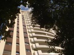 Apartamento com 3 Quartos para alugar, 116m² no Moema, São Paulo - Foto 1