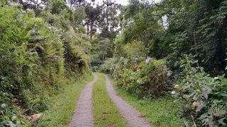 Terreno / Lote / Condomínio à venda no , Anitápolis - Foto 27