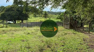 Fazenda / Sítio / Chácara à venda, 2516800m² no Zona Rural, Cezarina - Foto 3