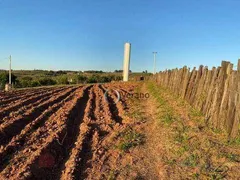 Fazenda / Sítio / Chácara com 5 Quartos à venda, 200m² no Reforma Agraria, Valinhos - Foto 9
