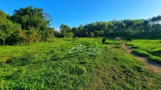 Fazenda / Sítio / Chácara à venda, 20000m² no Itapeti, Guararema - Foto 1