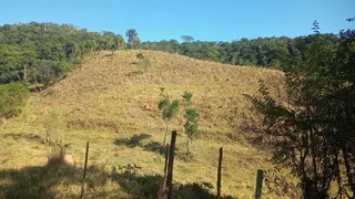 Fazenda / Sítio / Chácara à venda, 193600m² no Centro, São Miguel Arcanjo - Foto 15