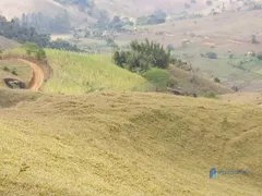 Fazenda / Sítio / Chácara à venda, 1390000m² no Taruacu, São João Nepomuceno - Foto 9