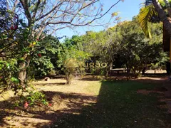 Fazenda / Sítio / Chácara com 6 Quartos à venda, 390m² no Rural, Uchoa - Foto 10