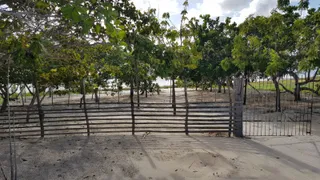 Fazenda / Sítio / Chácara com 3 Quartos à venda, 2500m² no Lagoa do Bonfim, Nísia Floresta - Foto 30