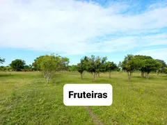 Fazenda / Sítio / Chácara com 3 Quartos à venda, 12000m² no Zona Rural, Lagoa de Pedras - Foto 2