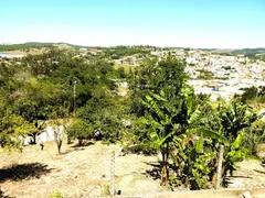 Fazenda / Sítio / Chácara com 3 Quartos à venda, 3000m² no Jardim Morada Alta, Jarinu - Foto 35