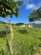 Terreno / Lote / Condomínio à venda, 720m² no Santa Catarina, Caxias do Sul - Foto 4