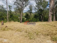 Terreno / Lote / Condomínio à venda, 1150m² no Colônia Santo Antônio, Barra Mansa - Foto 5