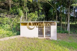 Fazenda / Sítio / Chácara com 3 Quartos à venda, 200m² no Pacotuba, Almirante Tamandaré - Foto 30