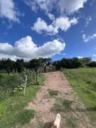 Fazenda / Sítio / Chácara com 2 Quartos à venda, 50m² no Zona Rural, Pelotas - Foto 3