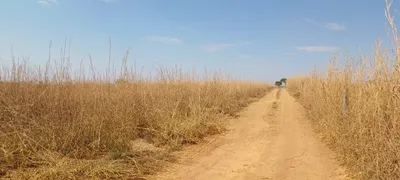 Fazenda / Sítio / Chácara à venda, 60000m² no Area Rural do Paranoa, Brasília - Foto 4