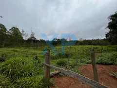 Fazenda / Sítio / Chácara com 3 Quartos à venda, 80m² no Zona Rural, São Sebastião do Oeste - Foto 25