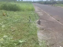 Terreno / Lote Comercial para venda ou aluguel, 5845m² no Chacaras Pedro Correa de Carvalho, Ribeirão Preto - Foto 3