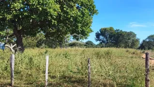 Fazenda / Sítio / Chácara com 2 Quartos à venda, 770m² no Zona Rural, Ibiaí - Foto 13