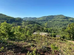 Terreno / Lote / Condomínio à venda, 1000m² no , Barão - Foto 8