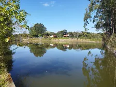 Fazenda / Sítio / Chácara com 5 Quartos à venda, 350m² no Centro, Cássia dos Coqueiros - Foto 8