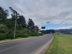 Terreno / Lote / Condomínio à venda, 9900m² no Avenida Central, Gramado - Foto 5