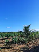 Fazenda / Sítio / Chácara com 2 Quartos à venda, 50m² no Zona Rural, Touros - Foto 5