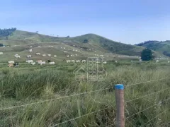 Fazenda / Sítio / Chácara com 3 Quartos à venda, 1000m² no Boa Esperança, Rio Bonito - Foto 19