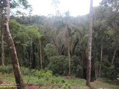 Fazenda / Sítio / Chácara com 4 Quartos à venda, 260m² no Centro, Nazaré Paulista - Foto 6