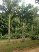 Terreno / Lote Comercial à venda, 13650m² no Serra Do Mato Grosso, Saquarema - Foto 5