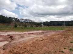 Terreno / Lote / Condomínio à venda, 900m² no Fazenda Palao Alpes de Guararema, Guararema - Foto 18