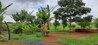 Fazenda / Sítio / Chácara com 4 Quartos à venda, 40000m² no Area Rural do Paranoa, Brasília - Foto 20