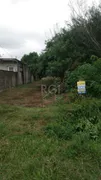 Terreno / Lote / Condomínio à venda, 1001m² no Lageado, Porto Alegre - Foto 2