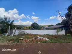 Terreno / Lote / Condomínio à venda, 366m² no Santa Cruz, Cascavel - Foto 3