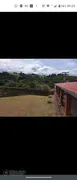 Fazenda / Sítio / Chácara com 3 Quartos à venda, 220m² no Areal, Pinhalzinho - Foto 7