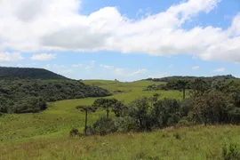 Fazenda / Sítio / Chácara com 1 Quarto à venda, 6000000m² no Zona Rural, Cambará do Sul - Foto 19