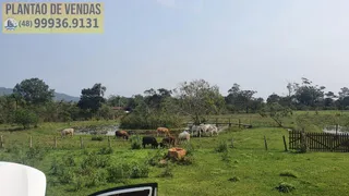 Fazenda / Sítio / Chácara com 10 Quartos à venda, 42000m² no Ratones, Florianópolis - Foto 25