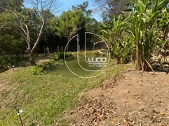 Fazenda / Sítio / Chácara com 3 Quartos à venda, 180m² no Zona Rural, Gameleira de Goiás - Foto 20