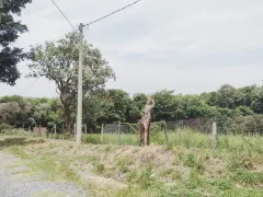 Terreno / Lote / Condomínio à venda, 3200m² no Jardim Colonial II, Aracoiaba da Serra - Foto 3