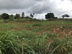 Fazenda / Sítio / Chácara com 2 Quartos à venda, 30000m² no Zona Rural, Glória do Goitá - Foto 18