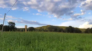 Fazenda / Sítio / Chácara com 3 Quartos à venda, 1984000m² no Nossa Senhora Aparecida, Uberlândia - Foto 7